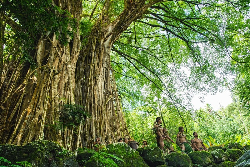 Tree Planting Ceremony